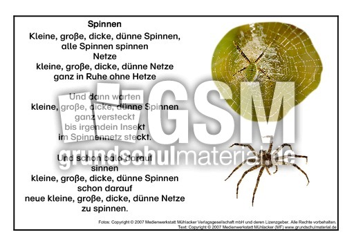 Spinnen.pdf